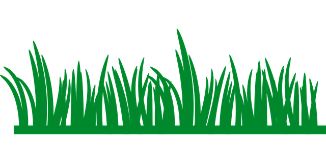 lawn-and-plant-640x480-24854864.png