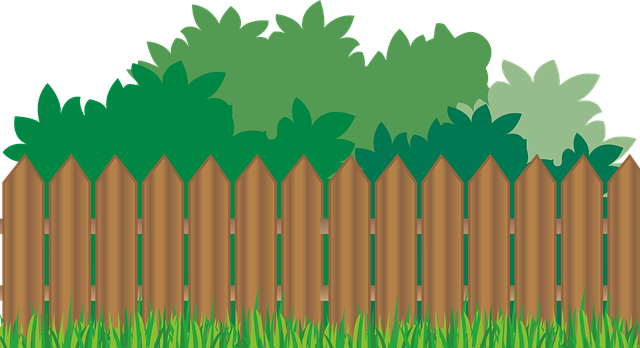 Lawn and Plant