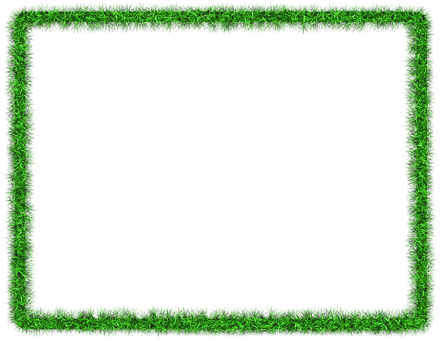 Lawn and Plant