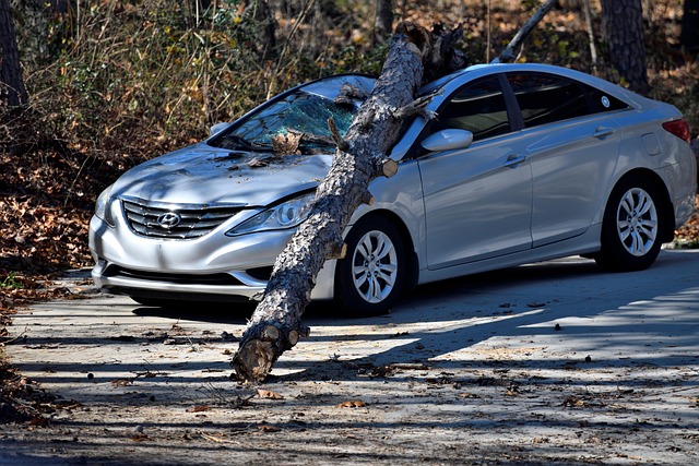 Liability Insurance