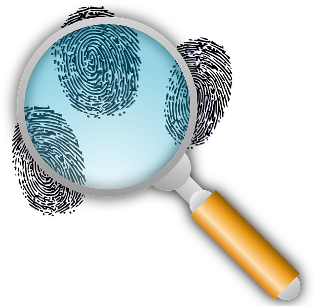 Mold Inspection