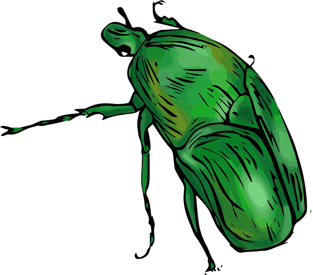 Pest Control