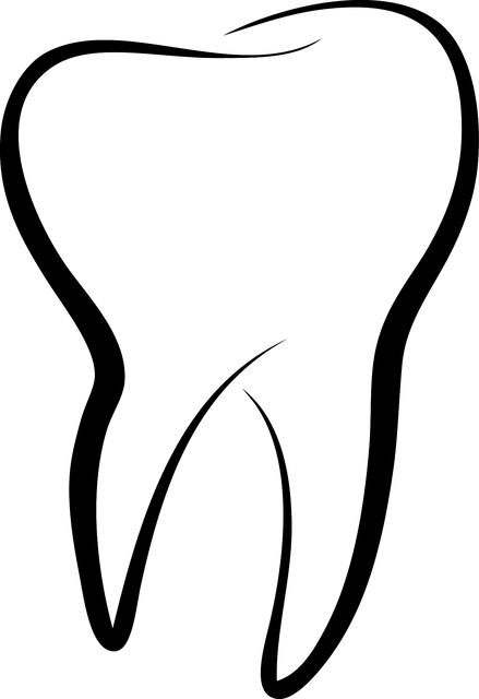 tree-care-services-640x480-12542506.png