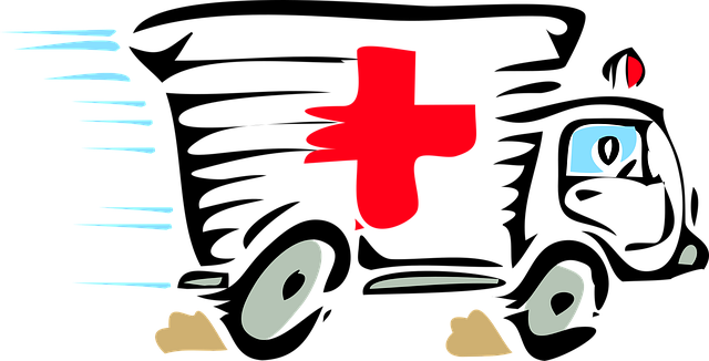tree-care-services-640x480-99820480.png