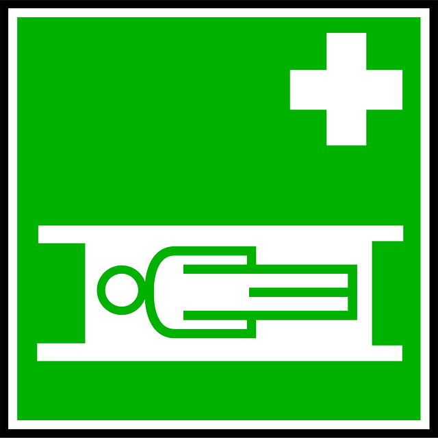 Tree Care Services