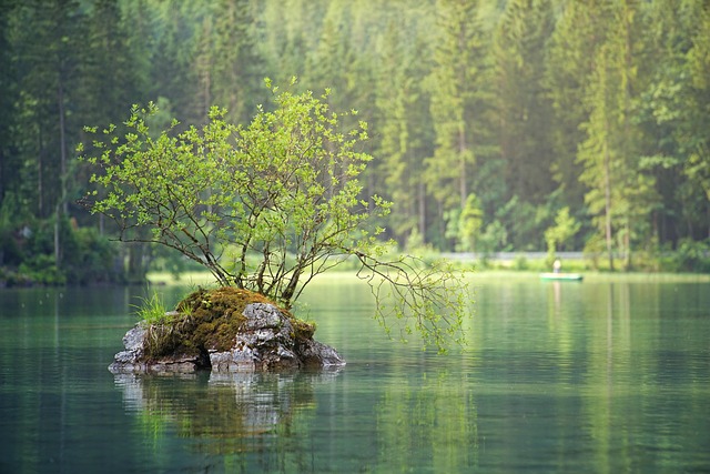 water-mitigation-640x480-64222470.jpeg