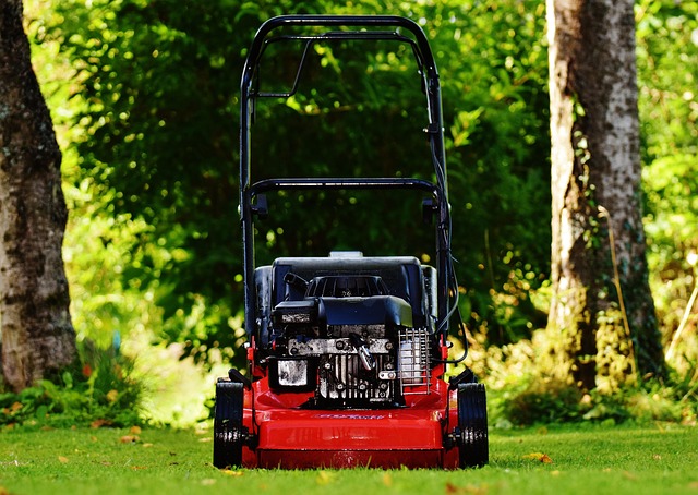 lawn-and-plant-640x480-62411244.jpeg