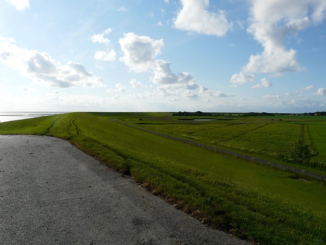 Concrete Driveway