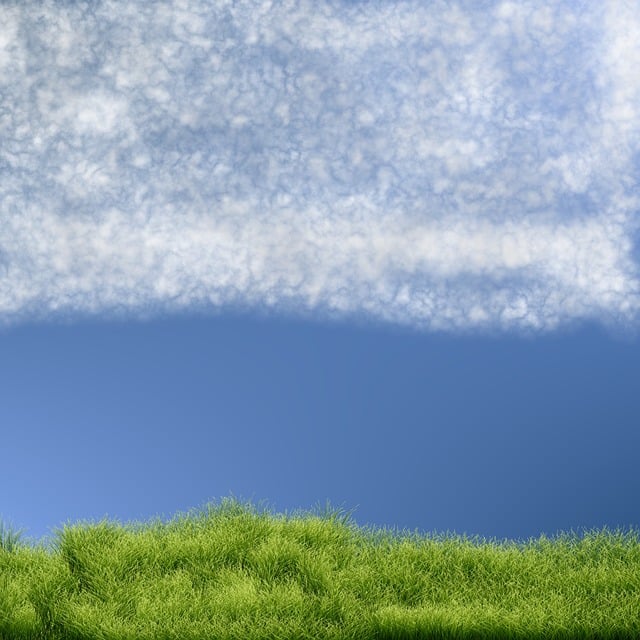 lawn-and-plant-640x480-62769773.jpeg