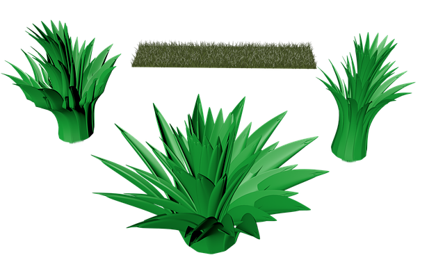 Lawn and Plant