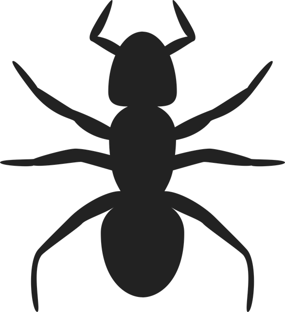 Pest Control