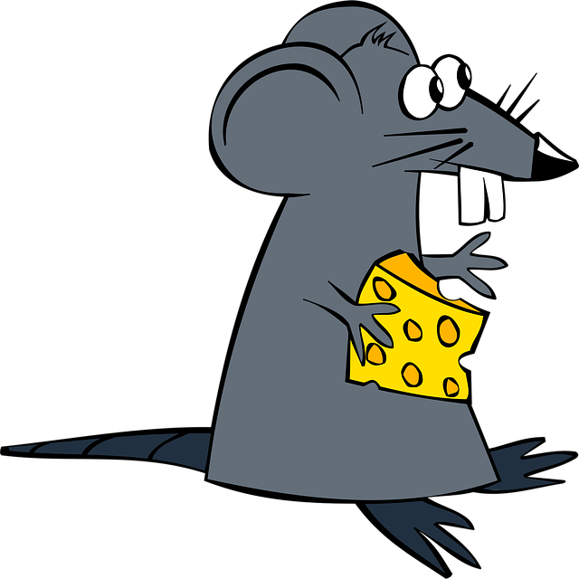 Rodent Control