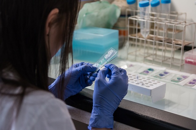 Asbestos Testing Texas: DIY vs Professional Safety Assurance