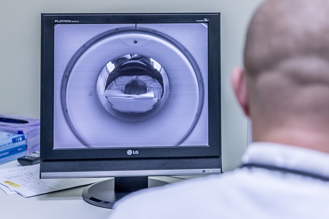 Navigating Asbestos Safety: DIY vs Professional Testing in Texas