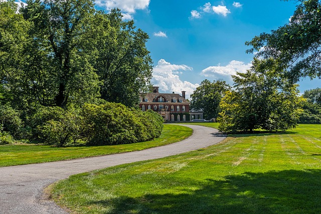 Concrete Driveway