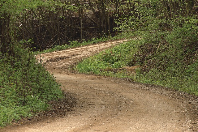 Concrete Driveway