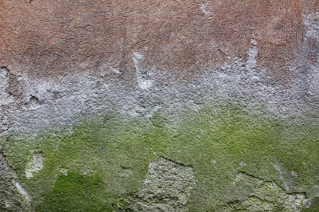 Concrete Driveway