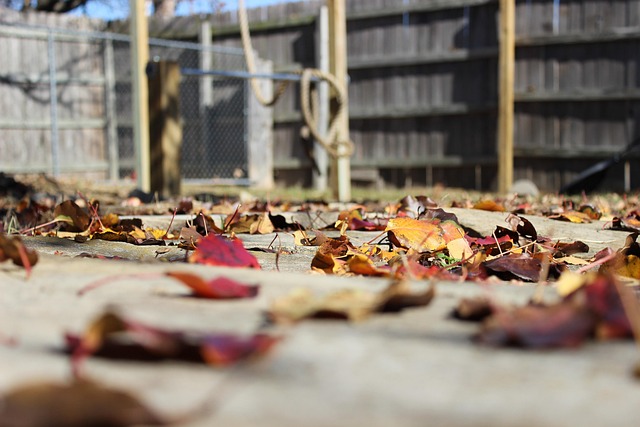 Concrete Patio