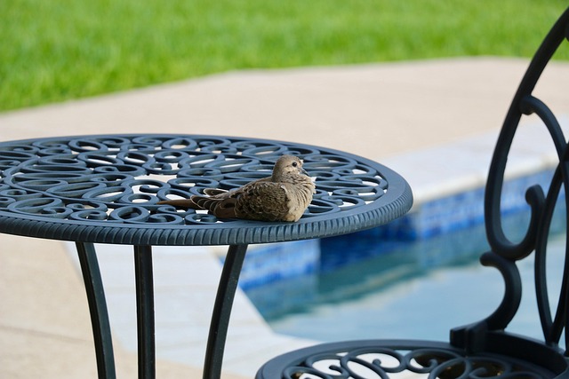 concrete-patio-640x480-87684378.jpeg