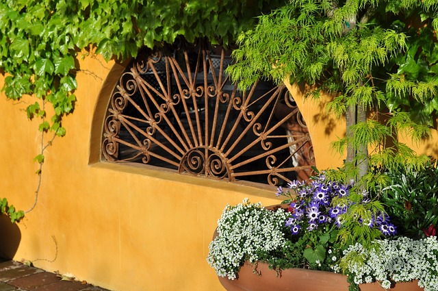 Concrete Patio
