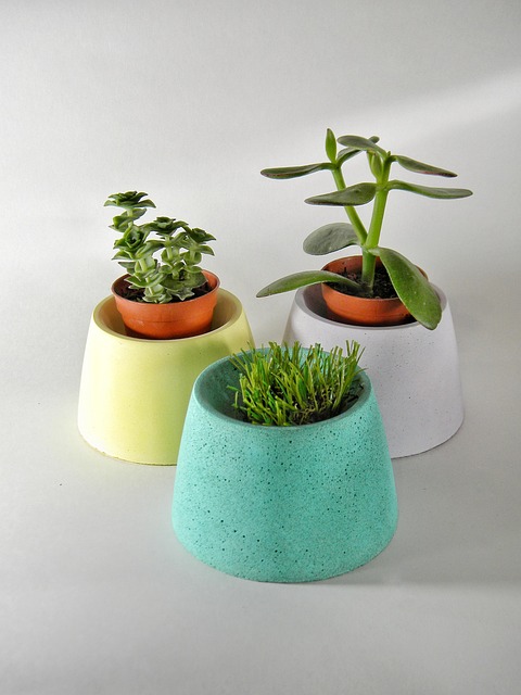 Concrete Patio