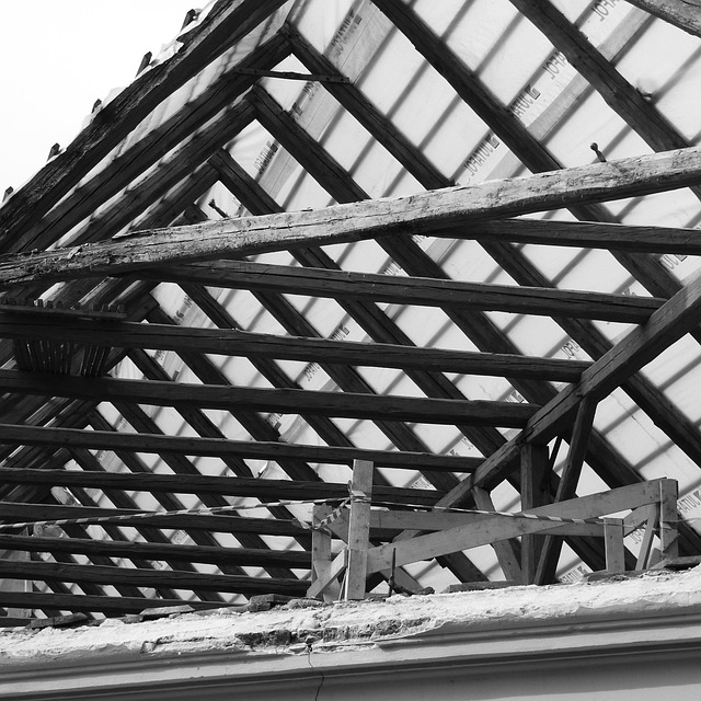 Disaster Reconstruction