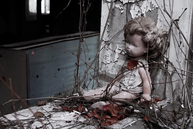 Disaster Reconstruction