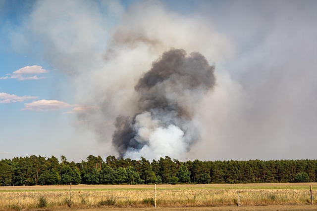 San Antonio's Fire Restoration: Thermal Fogging & Board-Up Services