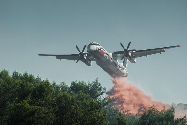 San Antonio Fire Restoration: Eliminate Smoke Odor, Secure Board-Up Services