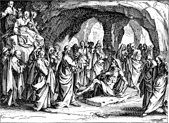 Fire Restoration