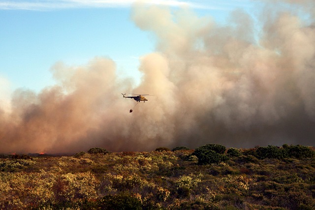 Fire Restoration: Navigating Insurance for Texas Homeowners
