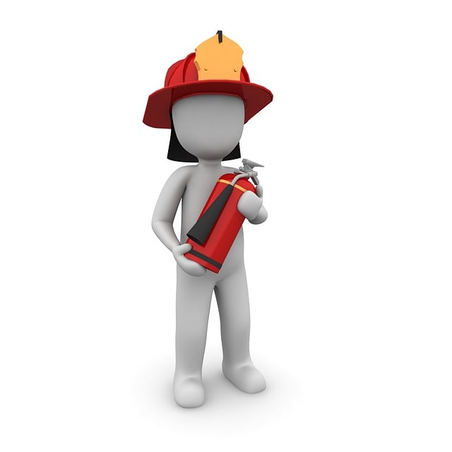 Fire Restoration