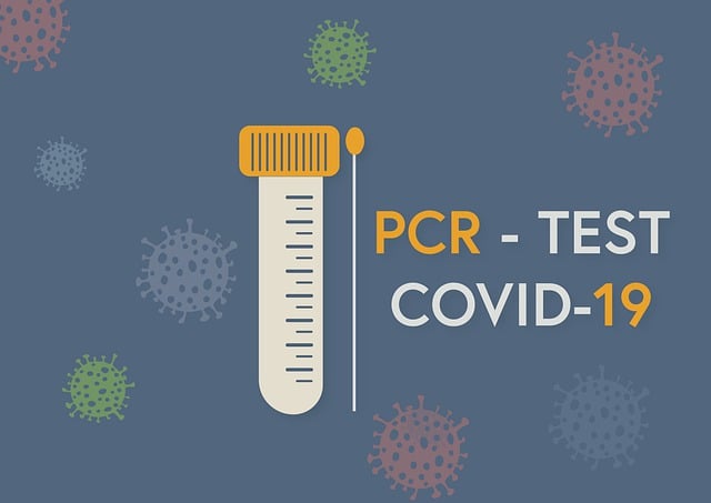 Certified Lead Paint Removal: Texas Regulations & Best Practices