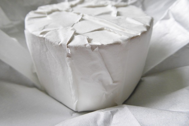 Schertz: DIY Mold Testing vs. Professional Inspection Guide