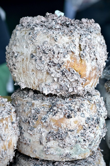 mold-inspection-640x480-76045625.jpeg
