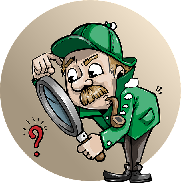 Mold Inspection