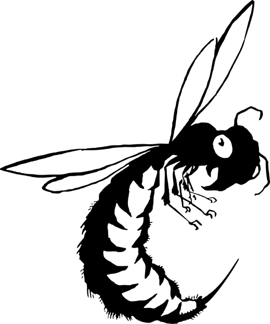 pest-control-640x480-1295946.png