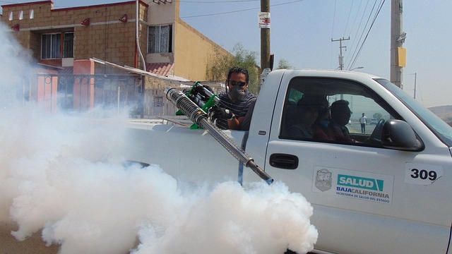 pest-control-640x480-81092133.jpeg
