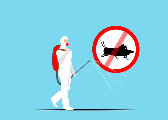 Stink Bug Control: Natural Methods for Denver Homes &amp; Yards