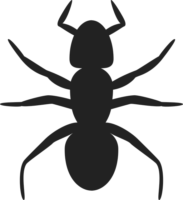 pest-control-640x480-98867930.png
