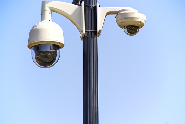 Pest Monitoring