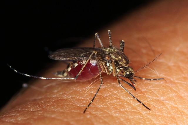 Pest Monitoring