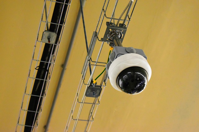 Pest Monitoring