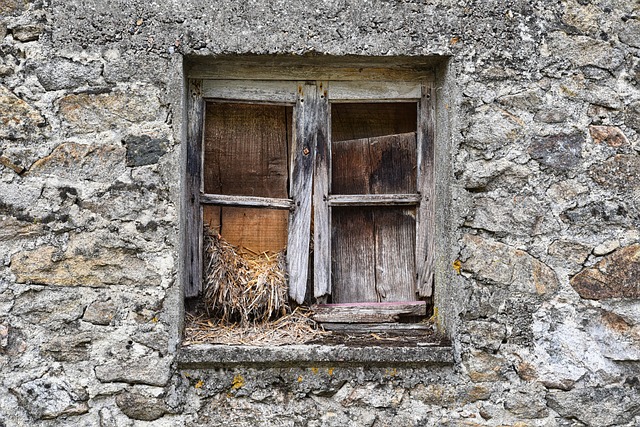 Post Frame Buildings