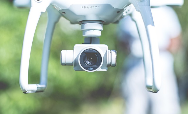 Rodent Control