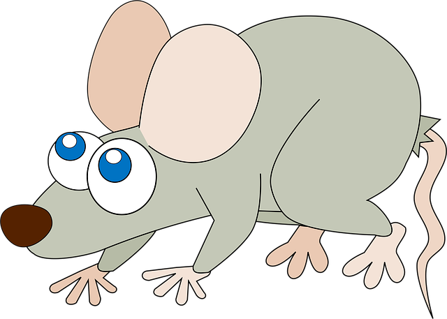 Natural Pest Control Denver CO: Safeguarding Warehouses Effectively