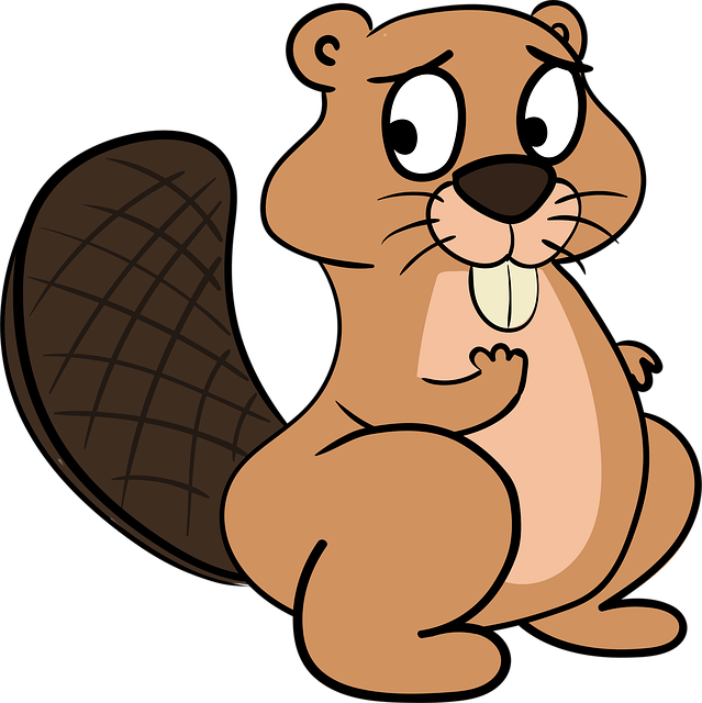 rodent-control-640x480-60142252.png