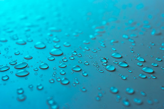 Preventing Water Damage: San Antonio Homes' Top 5 Leaks