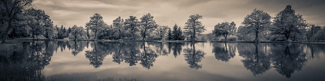 Flood Damage Restoration: Texas Foundation Drying Teams &amp; Insurance Coverage