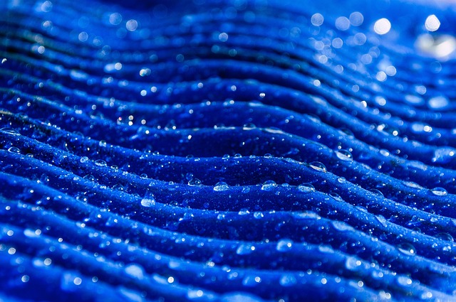 Water Mitigation in Texas: Insurance Coverage &amp; Strategies